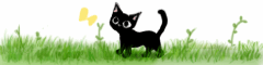 黒猫.gif