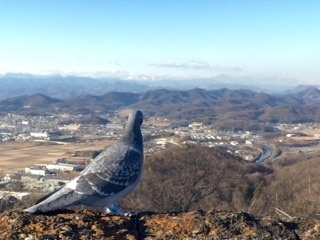 みかも山.jpg