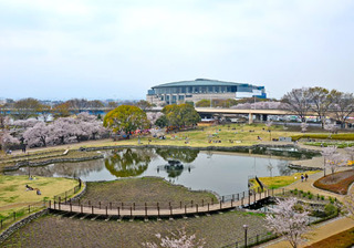 前橋公園.jpg