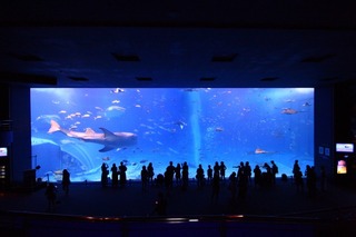 水族館.jpg