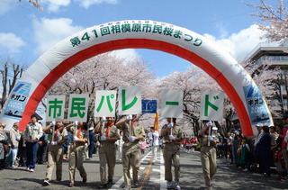 相模原市民さくらまつり１.jpg