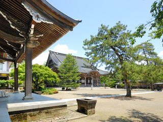 本成寺　初詣.jpg