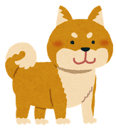 shibainu_brown.png