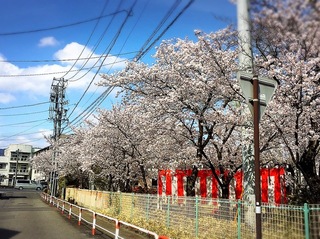 柳町公園２.jpg