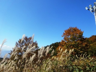 野沢温泉.jpg