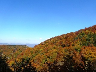 野沢温泉３.jpg