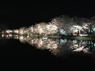 臥竜公園2017.jpg