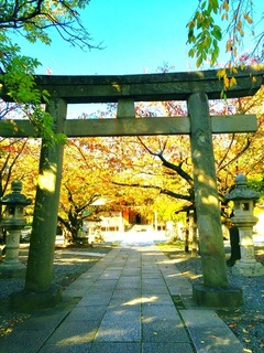 日枝神社３.jpg