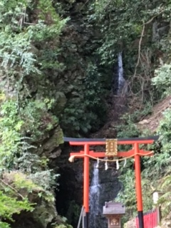 お出掛けスポット 松尾大社 京都 四条西院店 京都府 七五三 お宮参りの記念写真ならスタジオマリオ