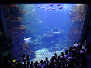 京都水族館.JPG