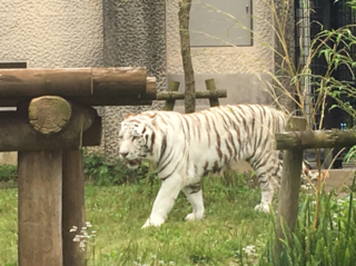 平川動物園①.png