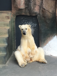 平川動物園③.png