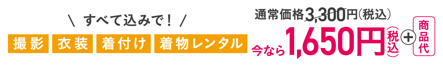 すべて込みで！3,300円（税込）＋商品代