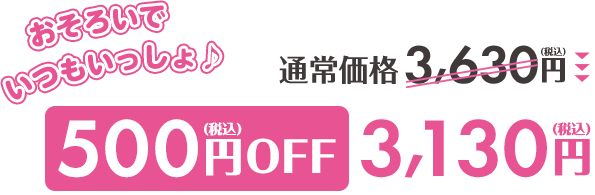 通常価格3,630円が500円OFF3,130円(税込)